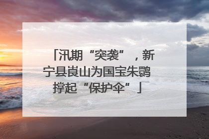 汛期“突袭”，新宁县崀山为国宝朱鹮撑起“保护伞”