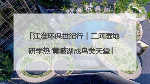 江淮环保世纪行｜三河湿地研学热 黄陂湖成鸟类天堂