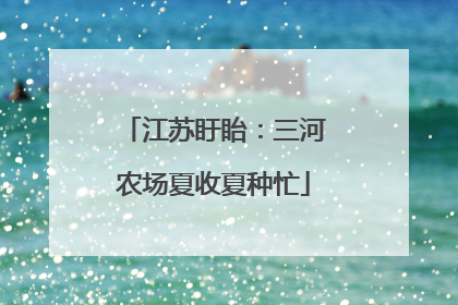 江苏盱眙：三河农场夏收夏种忙