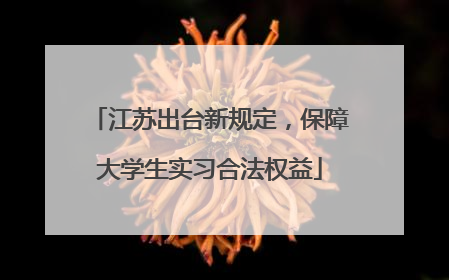 江苏出台新规定，保障大学生实习合法权益