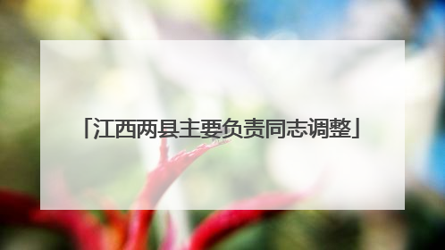 江西两县主要负责同志调整