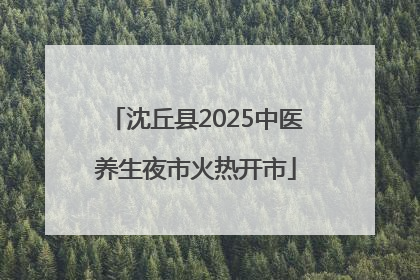 沈丘县2025中医养生夜市火热开市