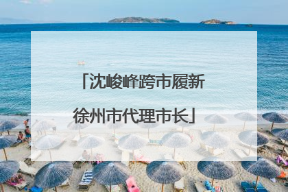 沈峻峰跨市履新徐州市代理市长