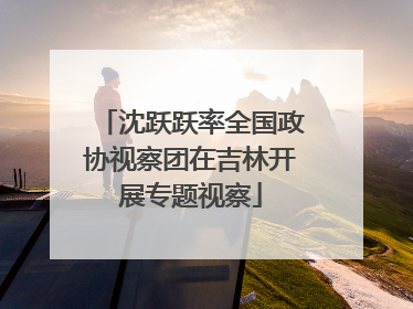 沈跃跃率全国政协视察团在吉林开展专题视察