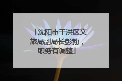 沈阳市于洪区文旅局副局长彭勃，职务有调整