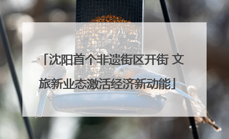 沈阳首个非遗街区开街 文旅新业态激活经济新动能
