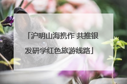 沪明山海携作 共推银发研学红色旅游线路