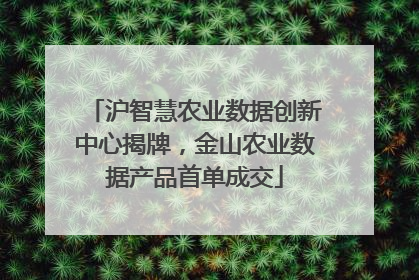 沪智慧农业数据创新中心揭牌，金山农业数据产品首单成交