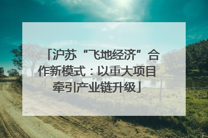 沪苏“飞地经济”合作新模式：以重大项目牵引产业链升级
