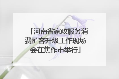 河南省家政服务消费扩容升级工作现场会在焦作市举行
