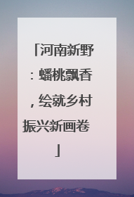 河南新野：蟠桃飘香，绘就乡村振兴新画卷