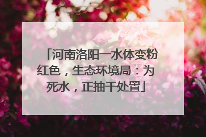 河南洛阳一水体变粉红色，生态环境局：为死水，正抽干处置