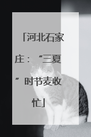 河北石家庄：“三夏”时节麦收忙