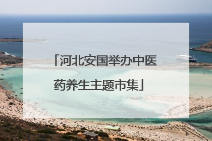 河北安国举办中医药养生主题市集