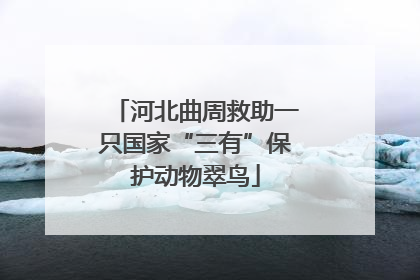 河北曲周救助一只国家“三有”保护动物翠鸟