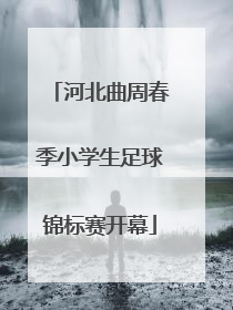 河北曲周春季小学生足球锦标赛开幕