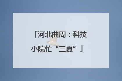 河北曲周：科技小院忙“三夏”