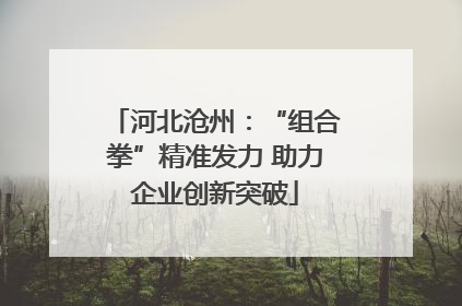 河北沧州：“组合拳”精准发力 助力企业创新突破