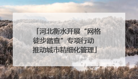 河北衡水开展“网格徒步踏查”专项行动 推动城市精细化管理
