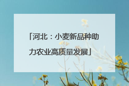 河北：小麦新品种助力农业高质量发展