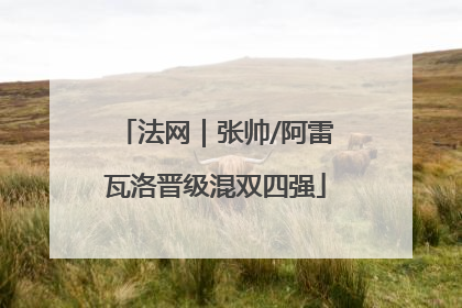 法网｜张帅/阿雷瓦洛晋级混双四强
