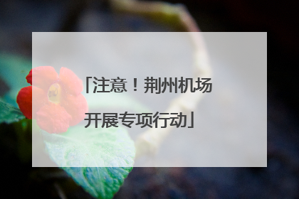 注意！荆州机场开展专项行动
