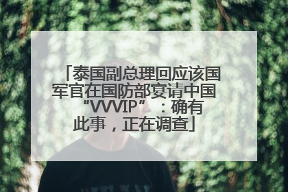 泰国副总理回应该国军官在国防部宴请中国“VVVIP”：确有此事，正在调查