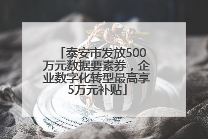 泰安市发放500万元数据要素券，企业数字化转型最高享5万元补贴