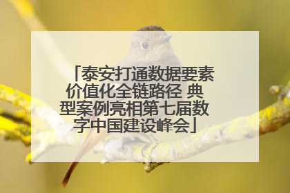 泰安打通数据要素价值化全链路径 典型案例亮相第七届数字中国建设峰会