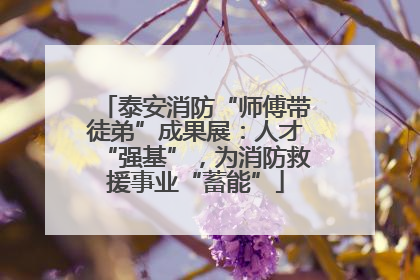 泰安消防“师傅带徒弟”成果展：人才“强基”，为消防救援事业“蓄能”