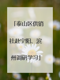 泰山区供销社赴宁阳、滨州调研学习