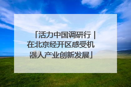 活力中国调研行｜在北京经开区感受机器人产业创新发展