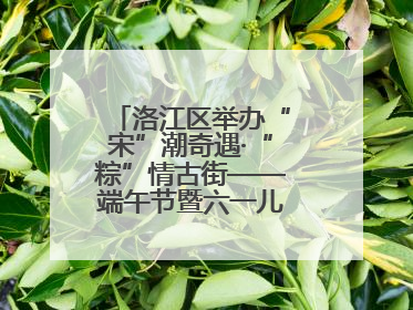 洛江区举办“宋”潮奇遇·“粽”情古街——端午节暨六一儿童节文化活动