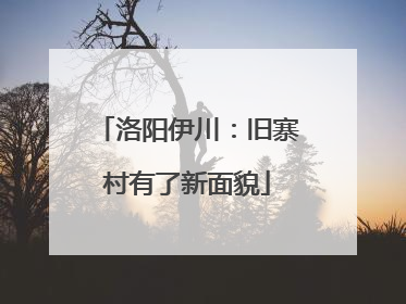 洛阳伊川：旧寨村有了新面貌