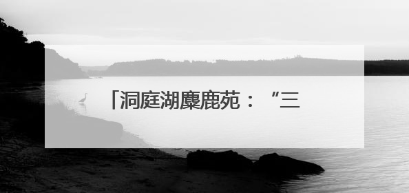 洞庭湖麋鹿苑：“三资盘活”激活生态资源，打造长江经济带生态价值转化新标杆