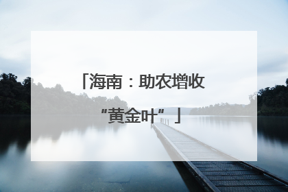 海南：助农增收 “黄金叶”