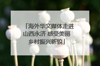 海外华文媒体走进山西永济 感受美丽乡村振兴新貌