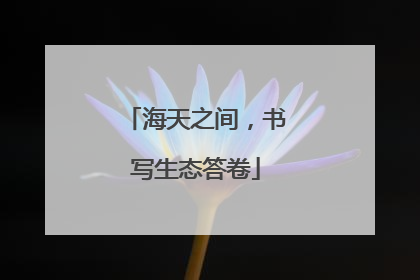 海天之间，书写生态答卷