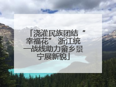 浇灌民族团结“幸福花” 浙江统一战线助力畲乡景宁展新貌