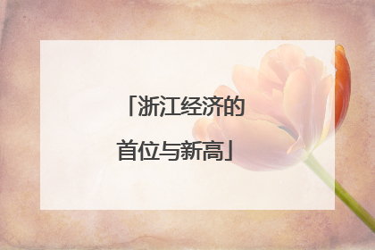 浙江经济的首位与新高