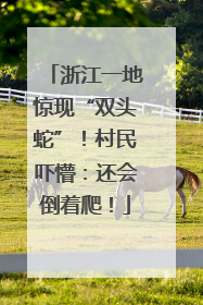 浙江一地惊现“双头蛇”！村民吓懵：还会倒着爬！