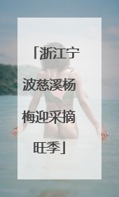 浙江宁波慈溪杨梅迎采摘旺季