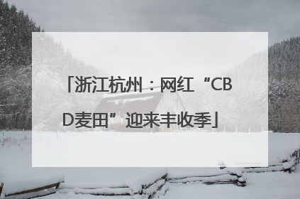 浙江杭州：网红“CBD麦田”迎来丰收季