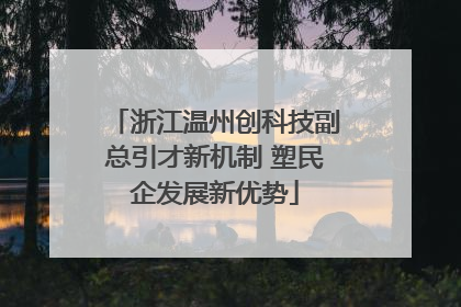浙江温州创科技副总引才新机制 塑民企发展新优势