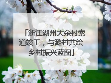 浙江湖州大余村索道竣工，与潞村共绘乡村振兴蓝图