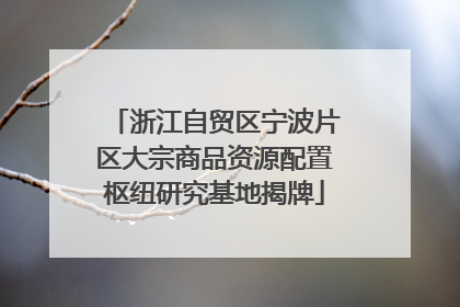 浙江自贸区宁波片区大宗商品资源配置枢纽研究基地揭牌