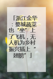 浙江金华：婺城蔬菜也“坐”上了飞机，无人机为乡村振兴插上“翅膀”