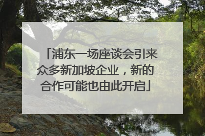 浦东一场座谈会引来众多新加坡企业，新的合作可能也由此开启