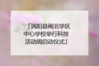 涡阳县闸北学区中心学校举行科技活动周启动仪式