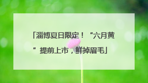 淄博夏日限定！“六月黄”提前上市，鲜掉眉毛